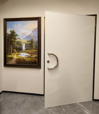 Electromagnetic Shielding Door for MRI Room 1200mm*2100mm
